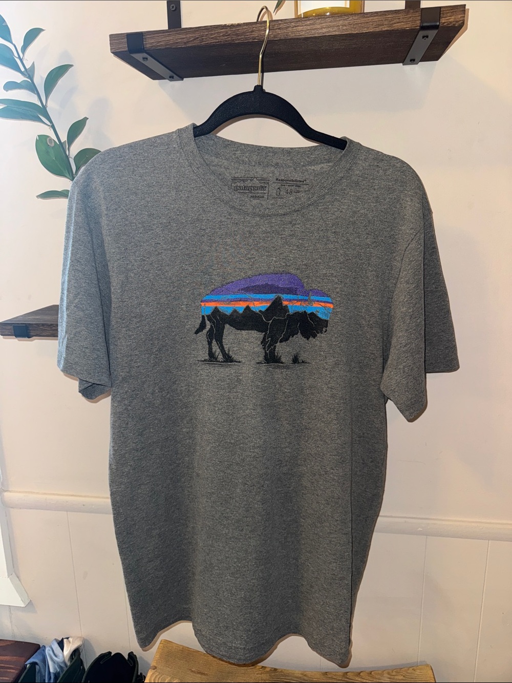 Patagonia Grey Men's Graphic T-Shirt with Sunset Bison Design Size M